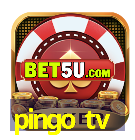 pingo tv